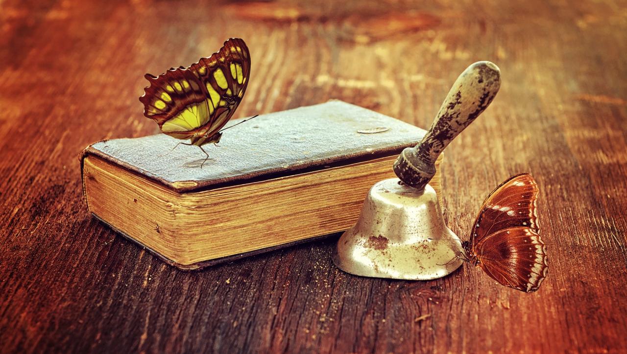 book4